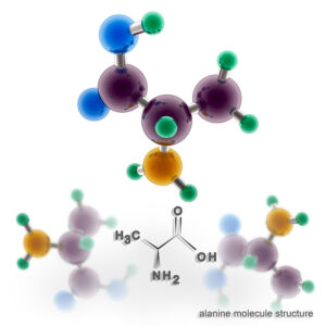 L-alanine is one of the most important components of protein, which is essential to animal and human nutrition. Photo: Canva