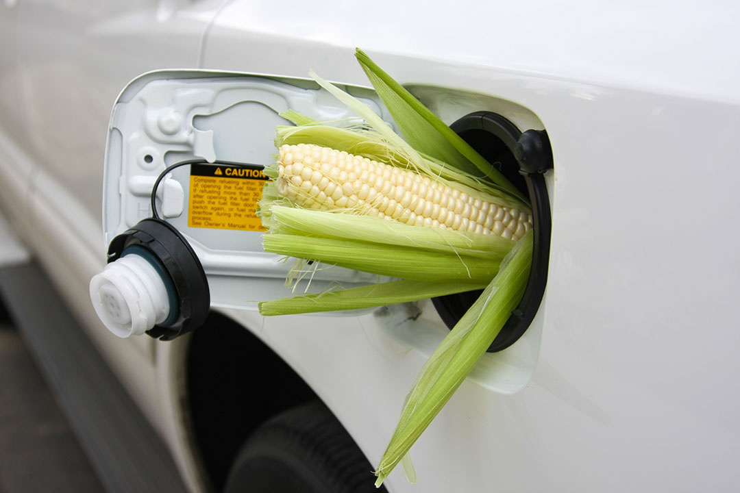 Adding more bioethanol to petrol is no way to go green