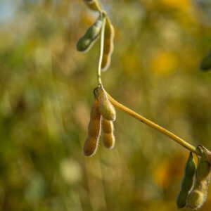 Photo: Canva