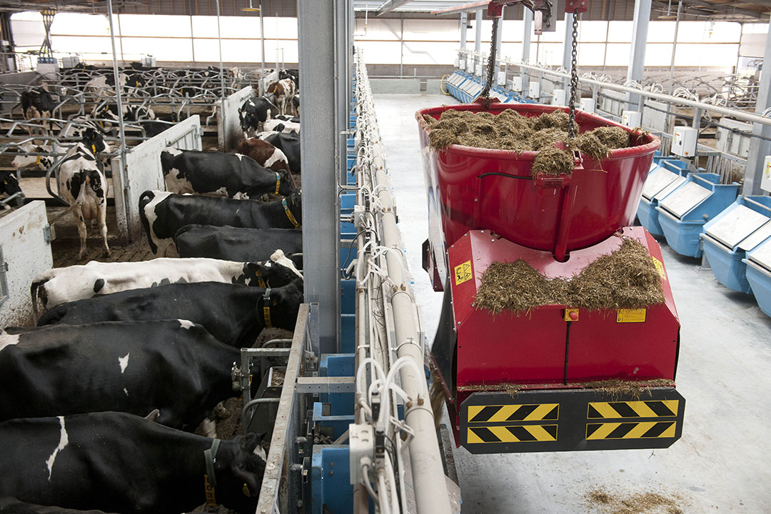 4 smart feeding technologies involved in the dairy industry - All
