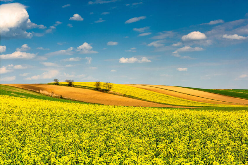 Drought is affecting commodity markets. Photo: Canva