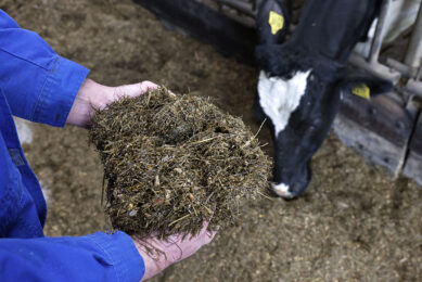 Silage inoculants can be of value in speeding up fermentation and reducing the time and resources that Penicillium moulds have to proliferate. Photo: Ruud Ploeg