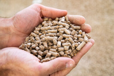 Animal feed can lose between 0.85% - 2% moisture during storage and processing. Photo: Ronald Hissink