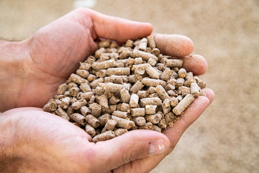 Animal feed can lose between 0.85% - 2% moisture during storage and processing. Photo: Ronald Hissink