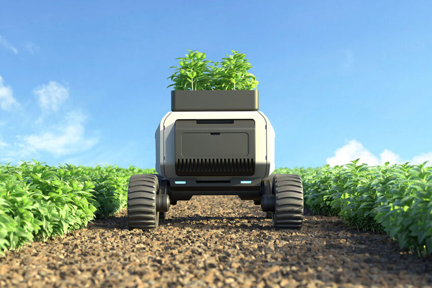 Agricultural robots from companies like Aigen and EcoRobotix are handling various tasks such as planting, weeding, insect vacuuming, harvesting, and packaging. Photo: Canva