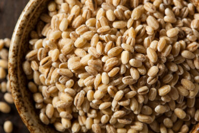 The highest OTA levels reported  among cereal grains were in Barley grain. Photo: Canva