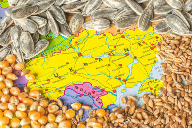 As the new harvest approaches,  the Ukrainian market is gradually flooded with grain, some segments are slowly diving into an oversupply crisis.