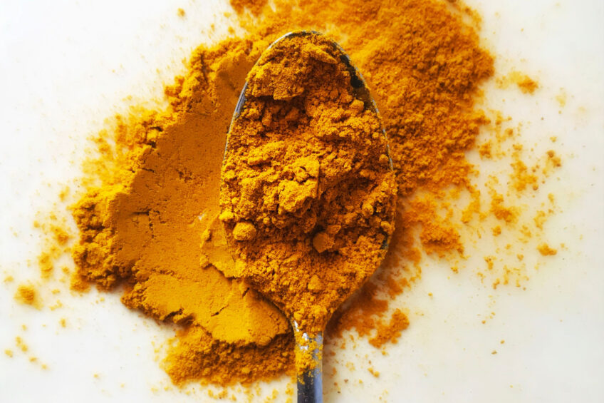 How does dietary turmeric impact poultry performance?