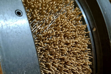Pellet shape, ingredient characteristics, and feed mill processes together impact the quality and durability of pelleted feeds. Photo: Selko