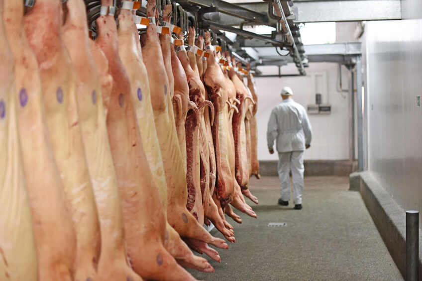 In 2024, the first pork shipments to China are due to be made. This should pave the way for Russia to become one of the top-5 world's largest pork exporters. Photo: Shutterstock