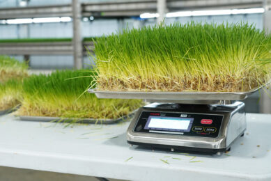 The hydroponic system, which produces sprouted wheat or barley, optimises water use and provides more control of herd nutrition.