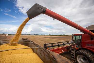 Brazil cuts harvest forecast to 306 million tons