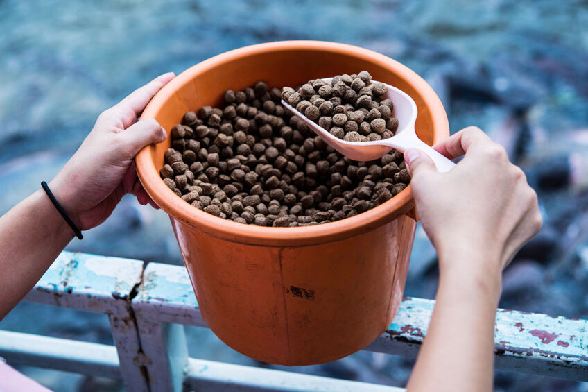 The European Court of Auditors published a report indicating that EU aquaculture production has been at a standstill for almost seven years. Photo: Shutterstock