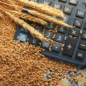 Price pressure continues until new grain harvest