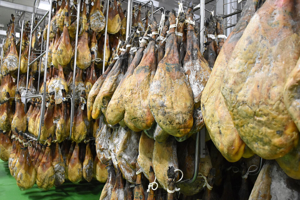 The curing process of the hams takes at least 12 months and can be up to 4 years. Photo: Chris McCullough