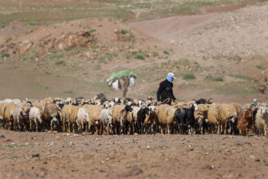 North Africa is braced for a fully fledged water shortage. Photo: OZ Arab Media