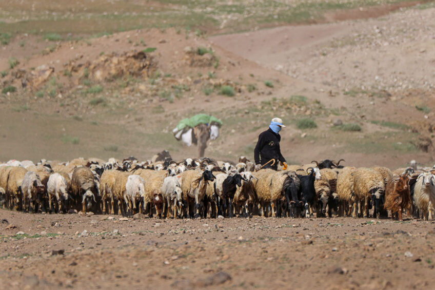 North Africa is braced for a fully fledged water shortage. Photo: OZ Arab Media