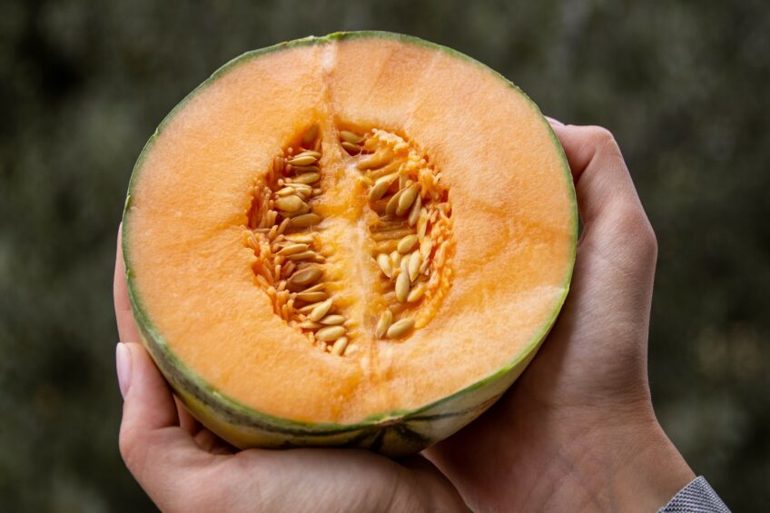 From ingredients to strategy: Rethinking antioxidant defence