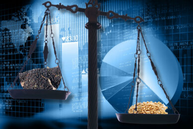 A weaker soy market is dragging rapeseed prices down at the beginning of this week. Photo: Canva