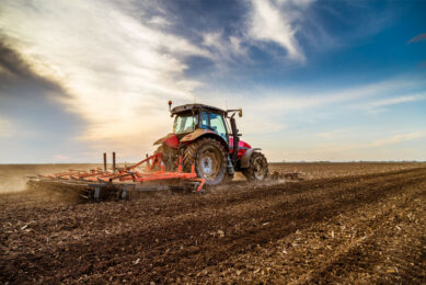 The study highlights the issue of land availability, since an increase in diversification of production requires available agricultural land suitable for the needed crops. Photo: Canva