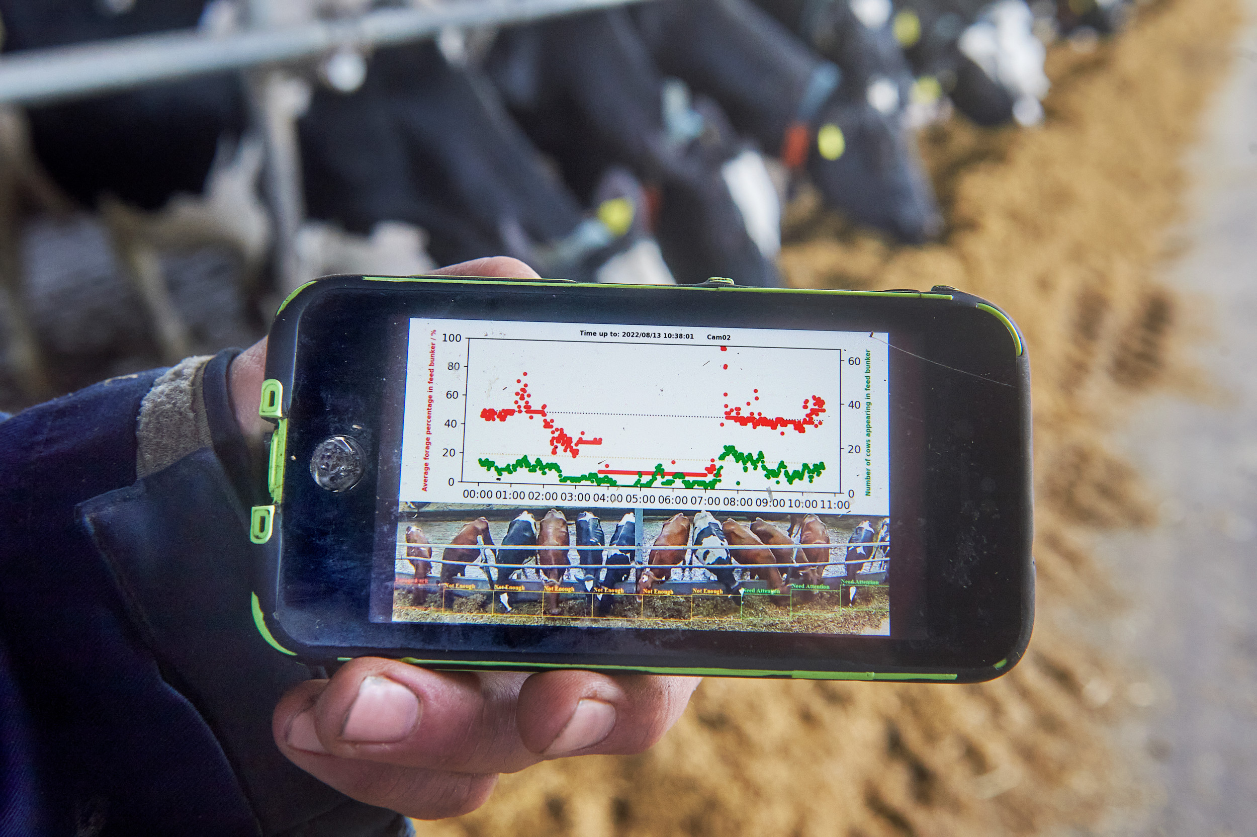 Feed Industry faces hurdles in AI adoption Feed Industry faces hurdles in AI adoption