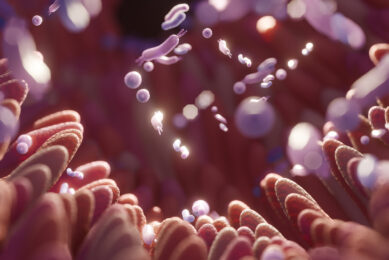 microbes