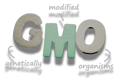 CROP GENETICS: The debate over GMO animal feed centers on its potential to boost productivity versus concerns about environmental impact and health risks. It raises questions about balancing innovation with safety and sustainability. Find out the latest developments...