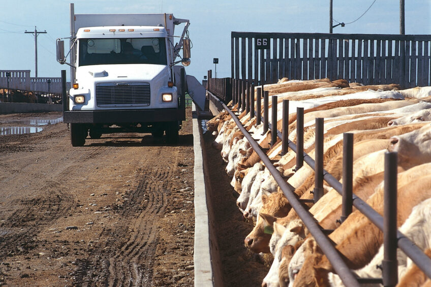 It was found that all US livestock, poultry and aquaculture consumed nearly 284 million tonnes of feed in 2023. Photo: Henk Riswick