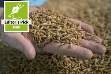 Novel feed ingredients: Enhancing meat quality and nutritional value