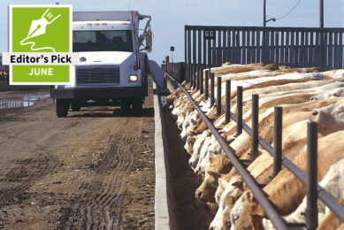 US feed report shows strong demand and high circular feed use