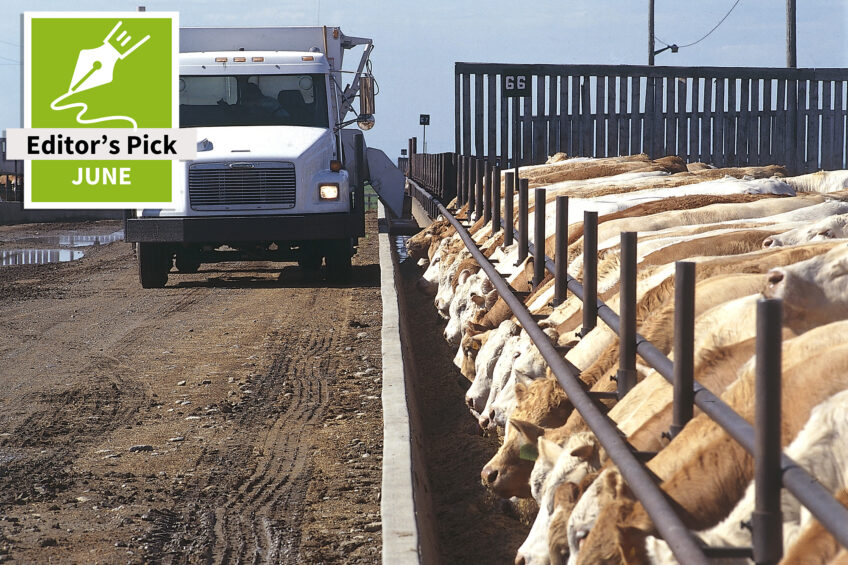 US feed report shows strong demand and high circular feed use