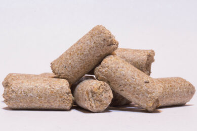 Lignosulfonates help improve pellet quality, reduce fines and support efficient operation. Photo: Borregaard