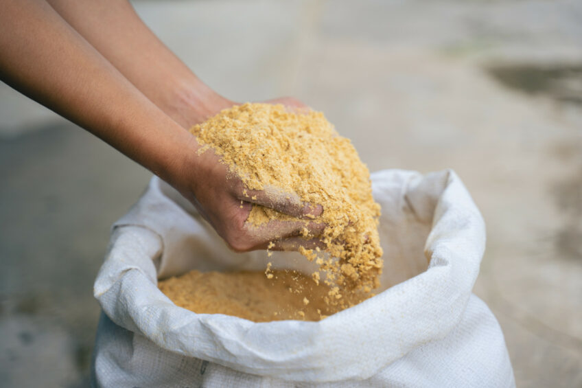 On many farms, there is an opportunity to lower dietary crude protein with minimal risk of lowering milk production thanks to the inclusion of an essential oil supplement. Photo: Phodé
