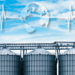 The annual survey, based on data from 142 countries and 28,235 feed mills, found that the top 4 countries produced more than half of the world’s feed (52%). Photo: Canva