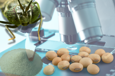 Study compares environmental impact of insect protein vs. soy and fishmeal