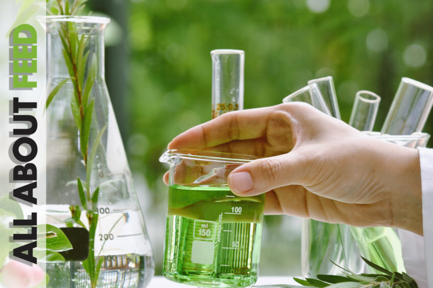 Phytogenics in All About Feed 3