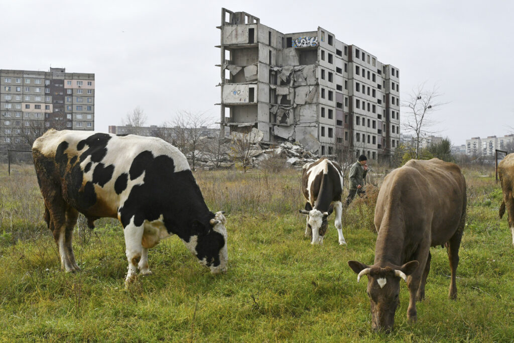 Photo: AP Photo/Andriy Andriyenko