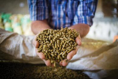 Improving pellet quality, increasing efficiency, and reducing costs positions businesses for long-term success in a rapidly evolving industry. Photo: Sappi
