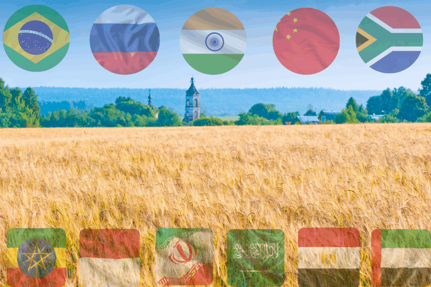 BRICS: A political and economic alliance comprising Brazil, Russia, India, China, and South Africa—recently expanded to include Saudi Arabia, Egypt, United Arab Emirates, Ethiopia, Indonesia, and Iran. Formed to represent the interests of emerging economies, the bloc aims to promote multipolarity, economic and cooperation. Photo: Canva