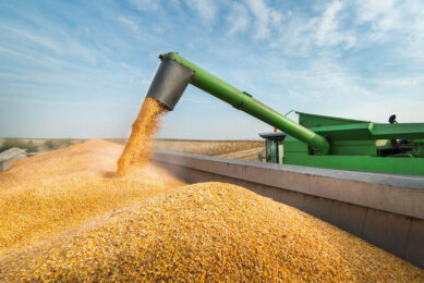 Analysts warn that the global grain market - already sensitive to weather, war and geopolitics - could face a cascade of disruptions due to tariffs. Photo: MAPA