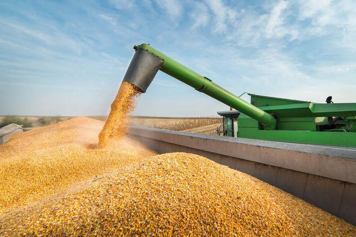 Analysts warn that the global grain market - already sensitive to weather, war and geopolitics - could face a cascade of disruptions due to tariffs. Photo: MAPA