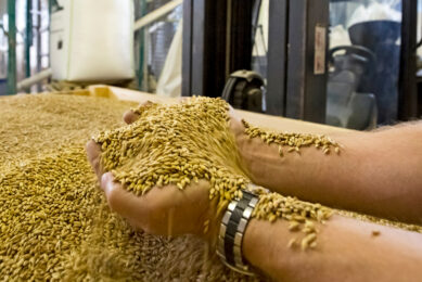 Proper raw material storage is an important factor in preserving the quality of feed and protecting it from damage by mould and other factors. Photo: Ruud Ploeg.