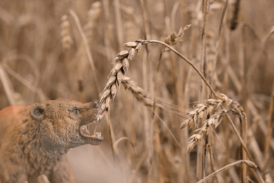 Photo: Canva