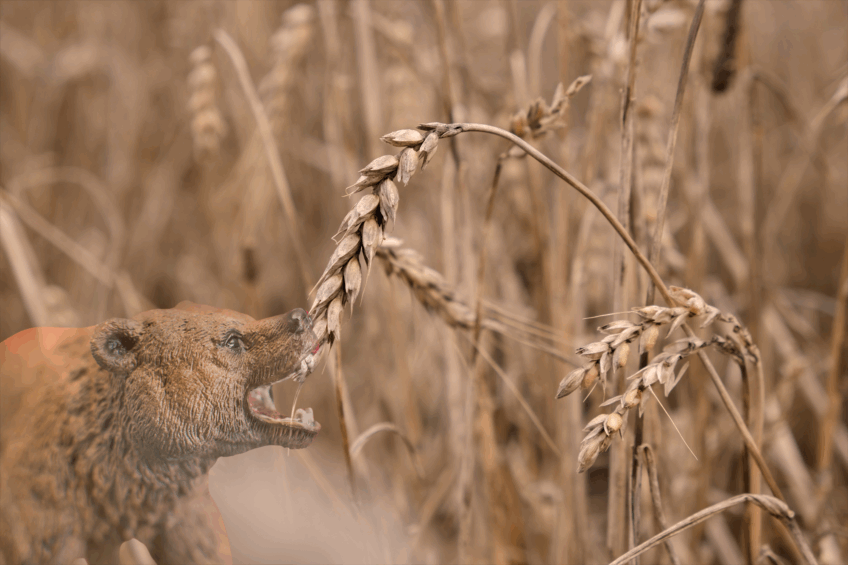 Photo: Canva